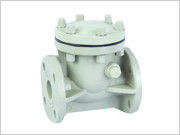 Swing check valve